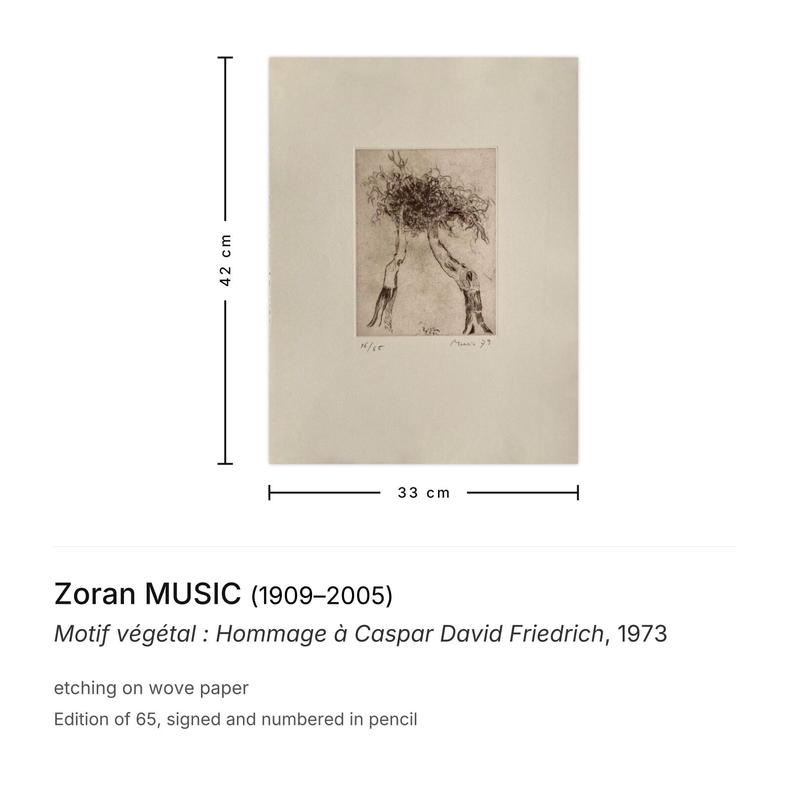 Zoran Music Gesigneerde Ets Motif Végétal : Hommage à Caspar David Friedrich 1973 photo furniture