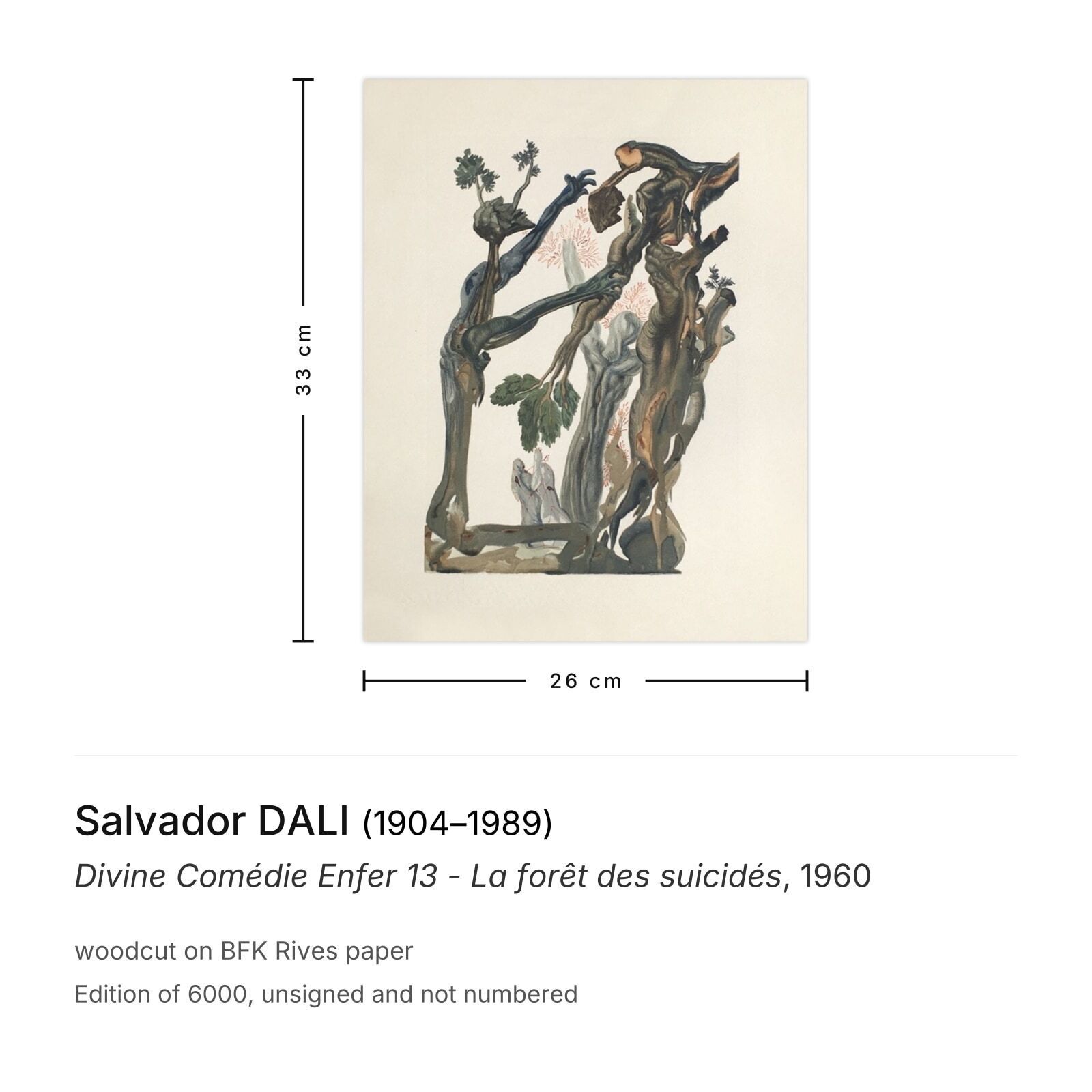 Salvador Dali Houtsnede Divine Comédie Enfer 13 La Forêt Des Suicidés 1960 photo furniture