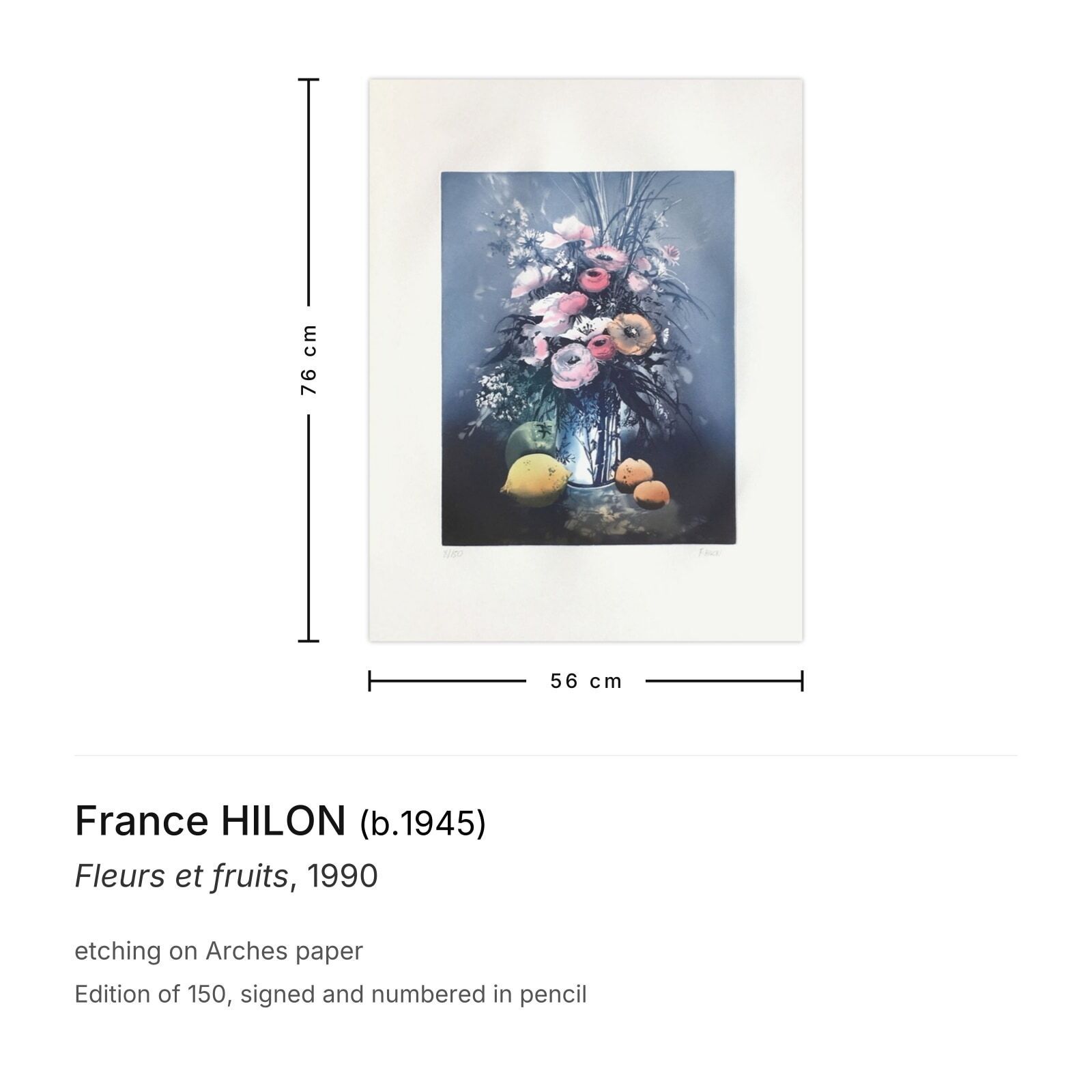 France Hilon Gesigneerde Ets Fleurs Et Fruits 1990 photo furniture