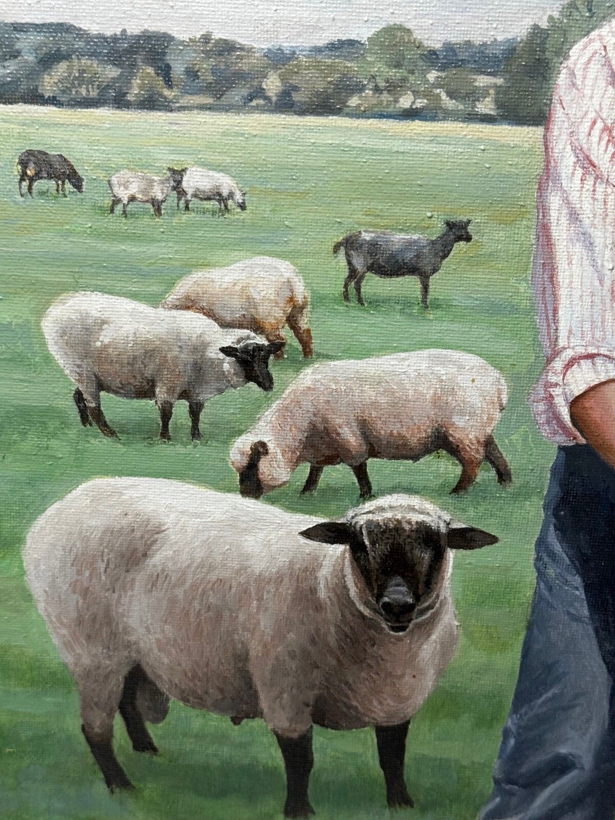 Olieverf portret Camilla Queen Consort op Wiltshire boerderij met prijsdieren, gesigneerd door Diana Douglas Hamilton photo buy
