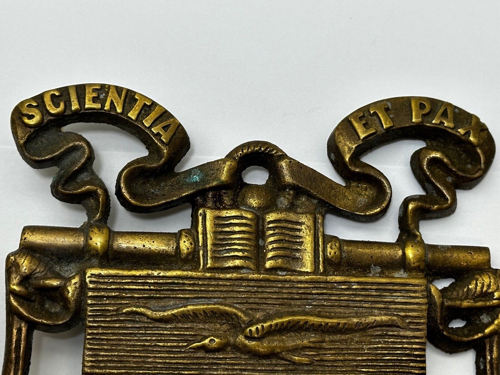 Antiek Anker Ketting Meeuw Wandplaquette Scientia Et Pax photo for sale