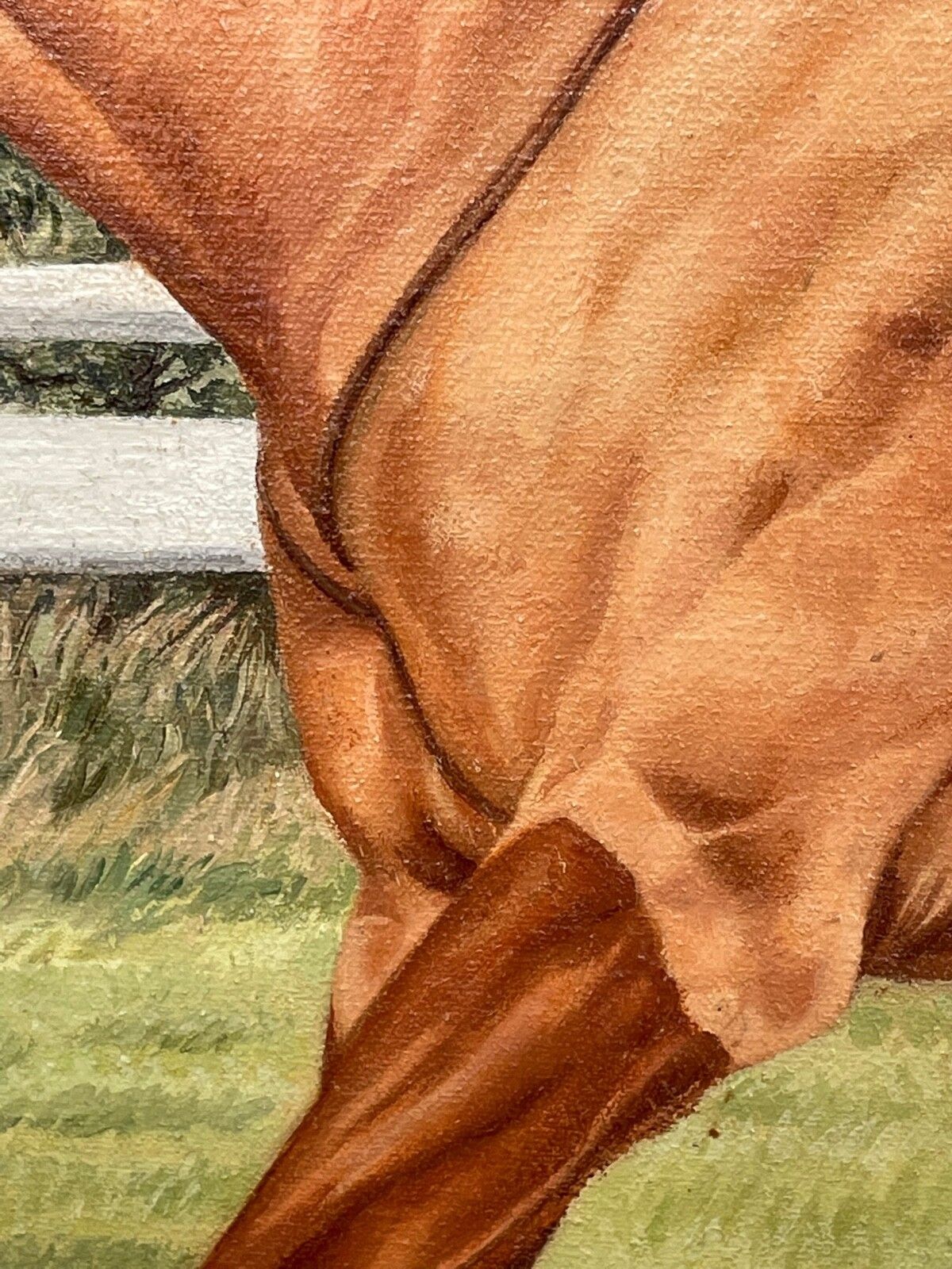 Rca Equestrian Oil Painting Londolozi Horse Racing Jumping Fence Signed By Sue Wingate photo buy