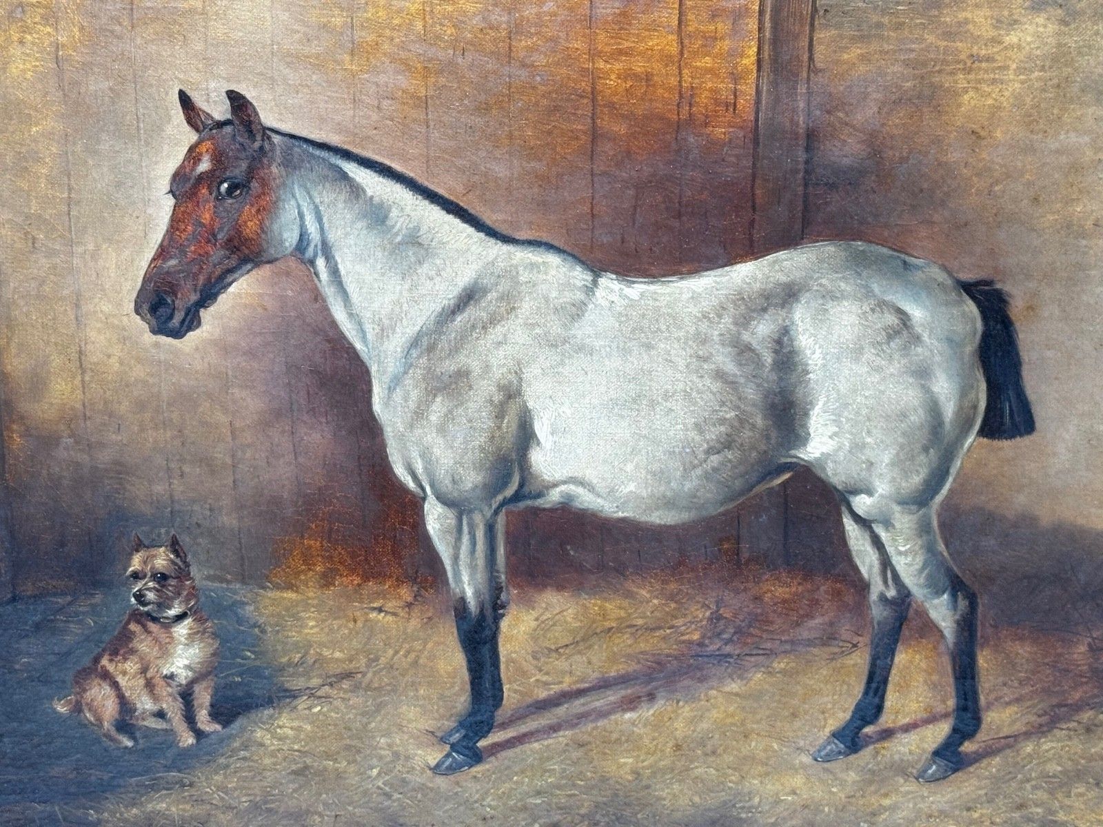 Victorian  Equestrian Oil Painting Portrait  Strawberry Roan Hunter Horse In Stable With Terrier Circle Of Edwin Frederick Holt photo for sale