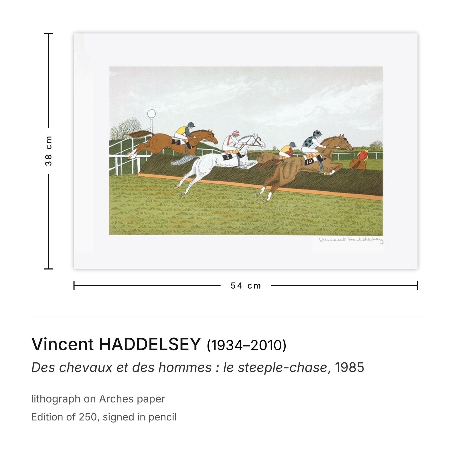 Vincent Haddelsey Gesigneerde Lithografie Des Chevaux Et Des Hommes : Le Steeple Chase 1985 photo furniture