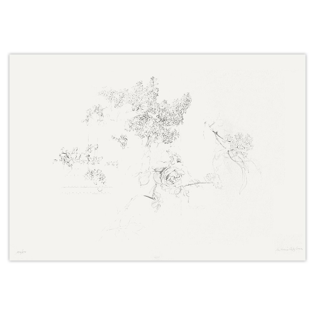 Antonio Lopez Garcia Signed Lithograph Membrillos Y Rosa (Juegos Olímpicos De Barcelona) 1992