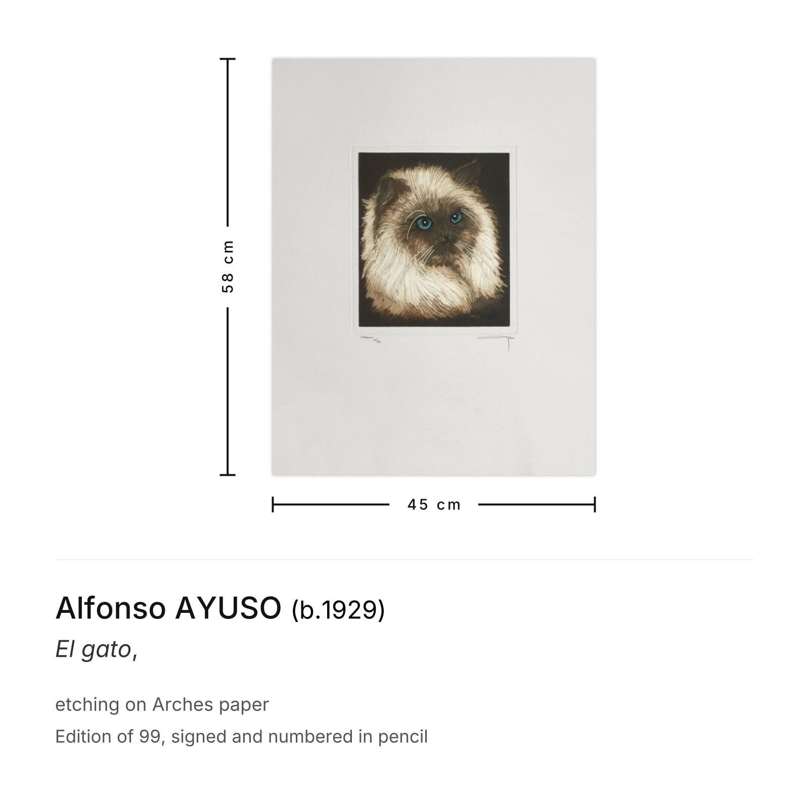 Alfonso Ayuso Gesigneerde Ets El Gato photo furniture