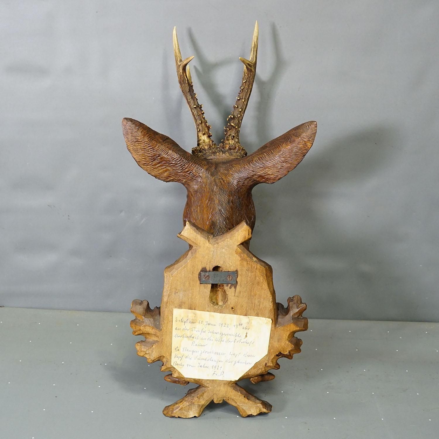 Groot naturalistisch gesneden hertentrofee uit het Zwarte Woud, ca. jaren 1920 photo vintage
