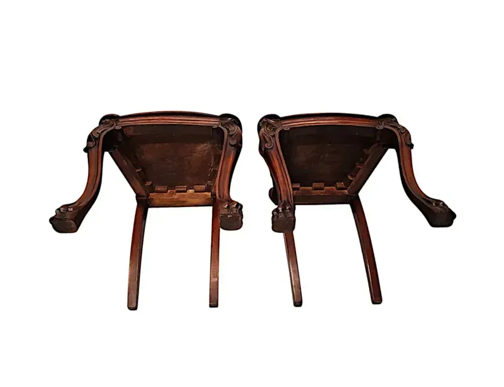 Een uitzonderlijk paar 19e-eeuwse hallstoelen met klauwtjesvoet photo buy