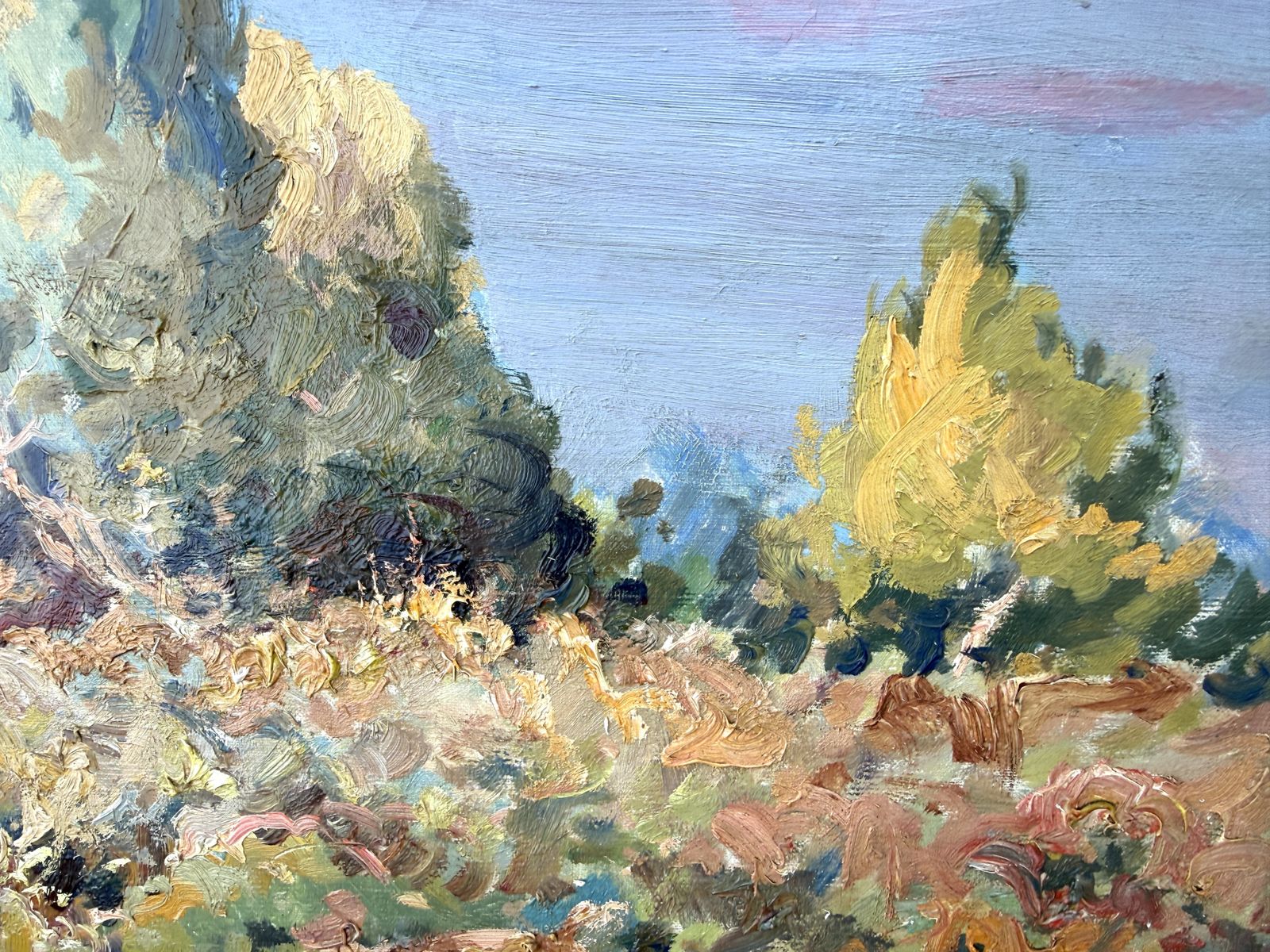 Josep María Vilá Cañellas Grand paysage côtier méditerranéen avec crique rocheuse, pins et maison blanche, 1969 photo for sale