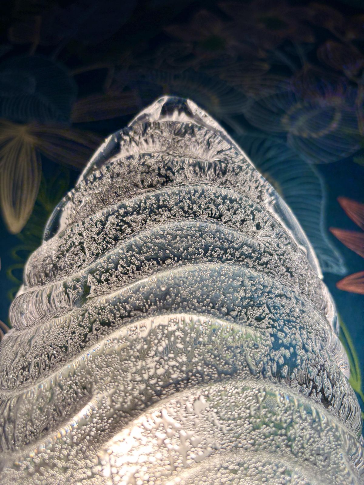 Wandlamp van Fischer Leuchten photo vintage