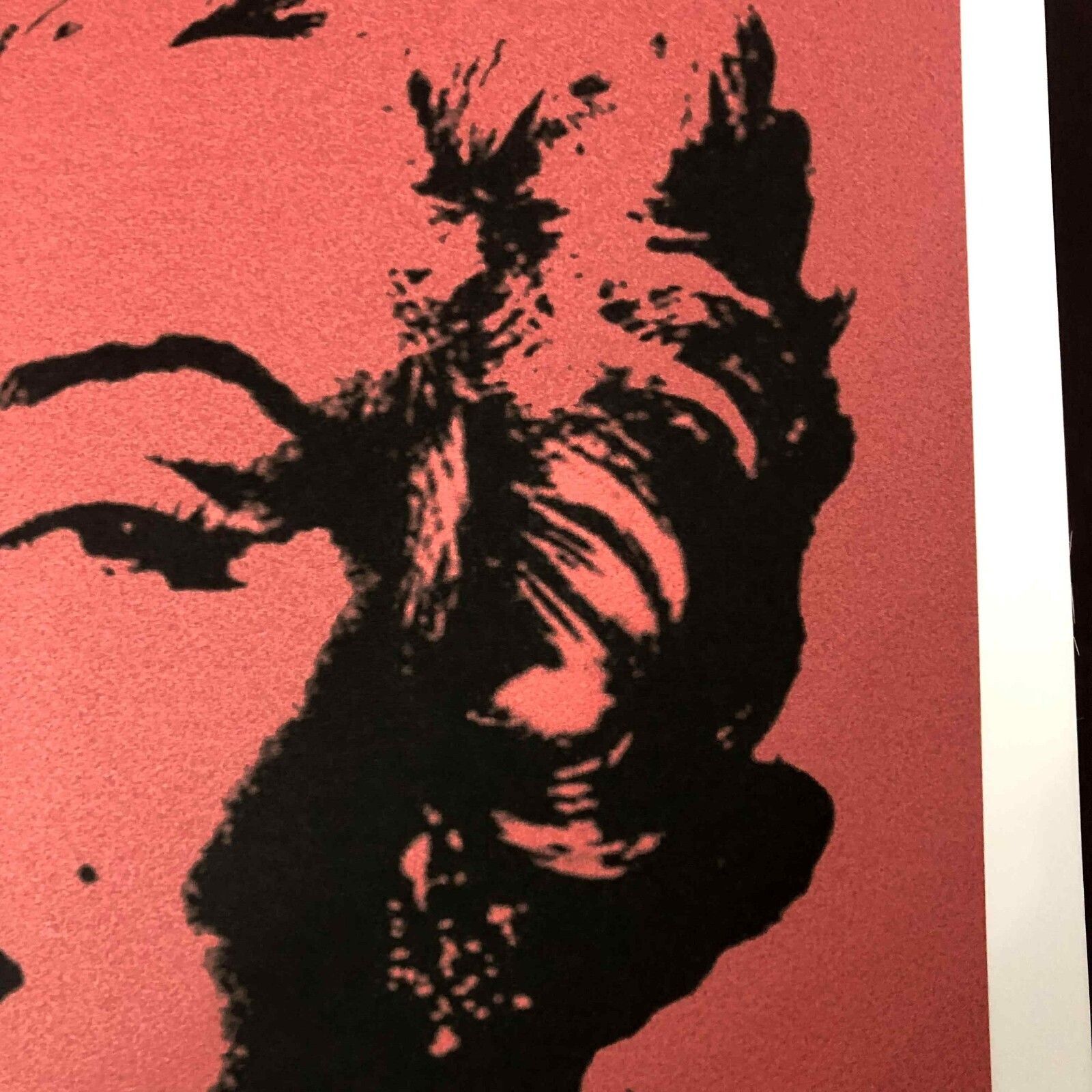 Andy Warhol Lithografie 50x50 cm Nieuwe Cmoa Editie Met Certificaat photo 450.0