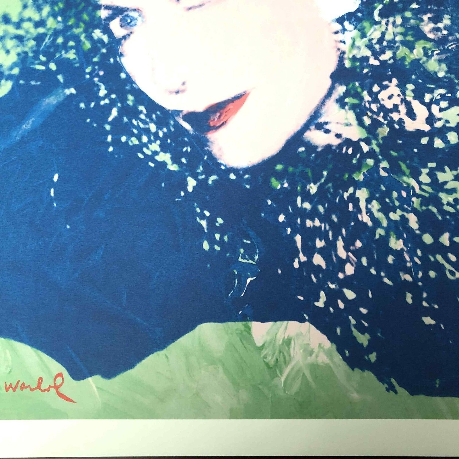 photo furniture Andy Warhol Lithografie 50x50 cm Nieuwe Cmoa Editie Met Certificaat