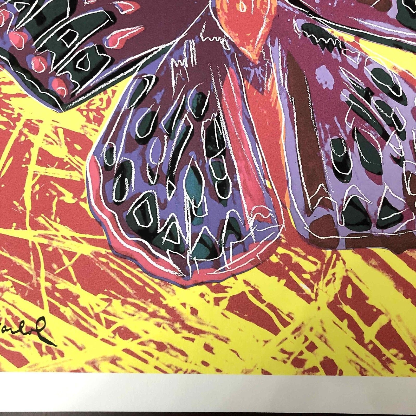 photo furniture Andy Warhol Lithography Cm 50x50 New Cmoa Edition With Certificate