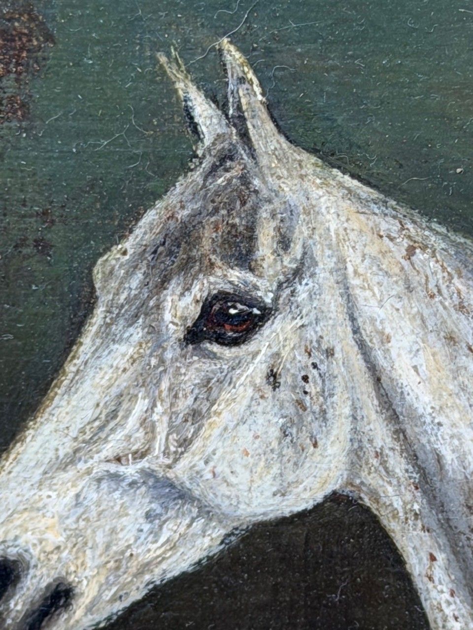 Olieverf portret begin 20e eeuw, Grisette, vleabitten grijze huntingmerrie, sportief, gesigneerd Herbert St. John Jones photo 9000.0