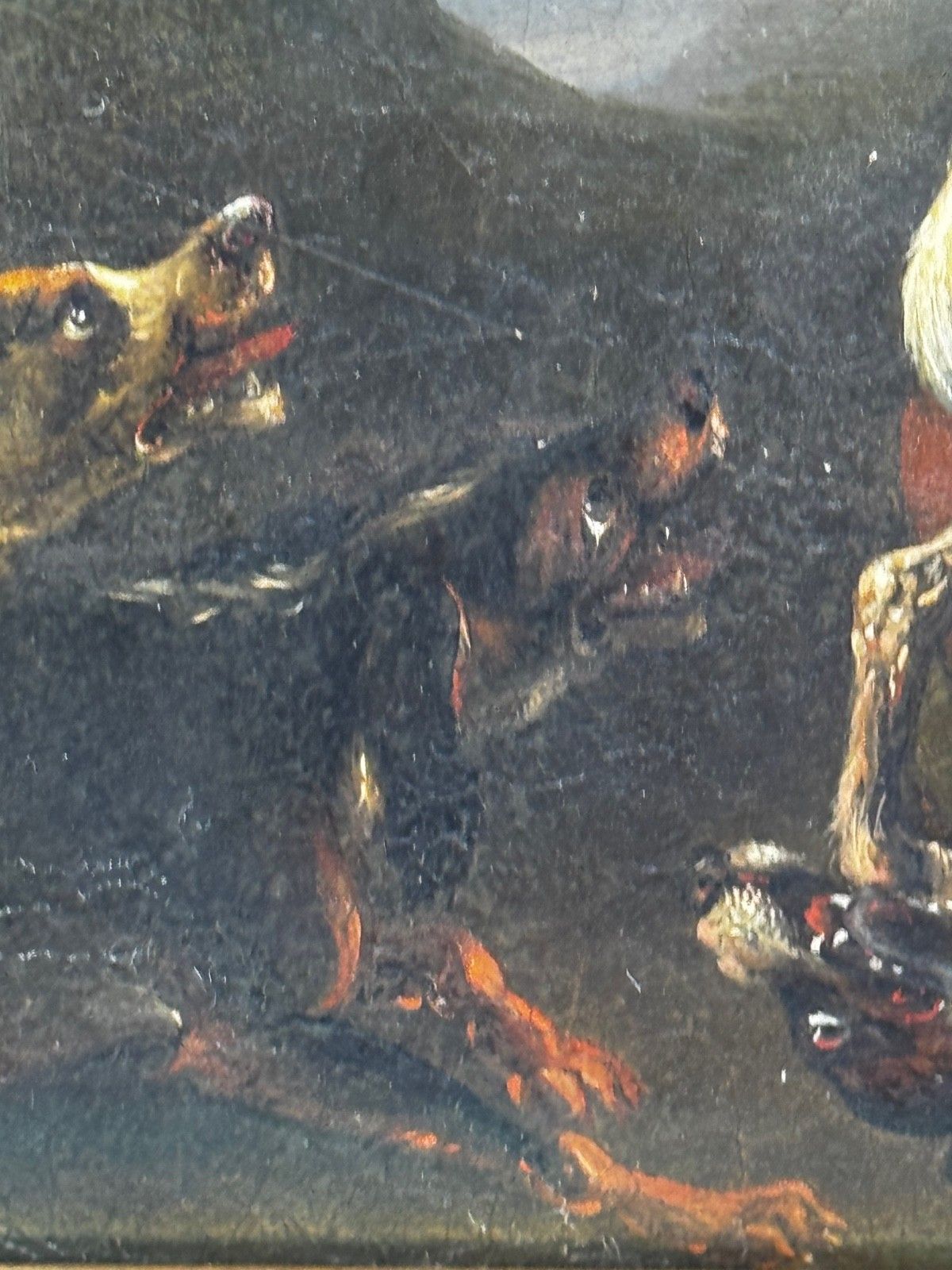 19th Century Oil Painting Bear And Hounds Fighting In Manner Of Richard Ansdell photo vinterior