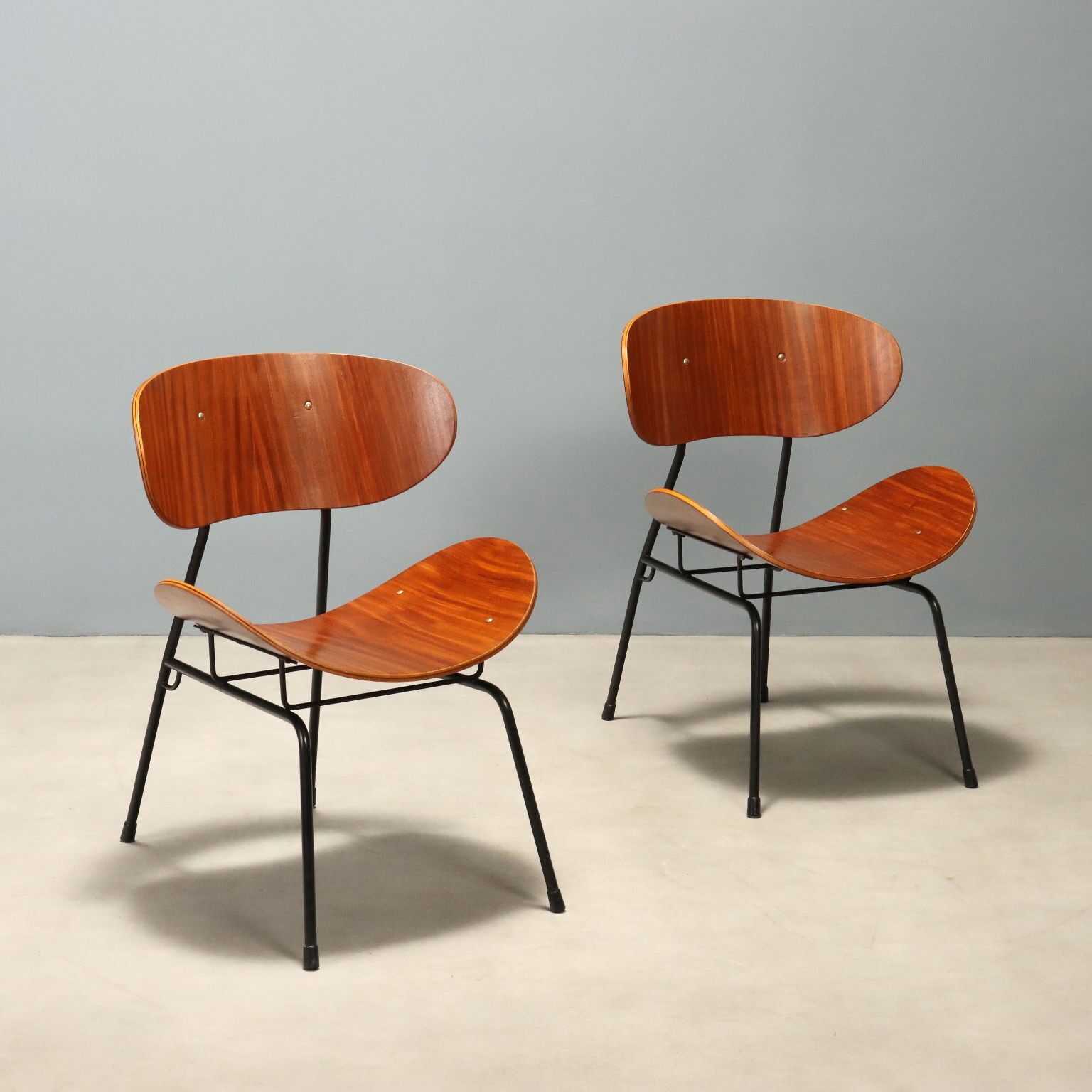Fauteuils vintage T. Silvana Comfort Design Carlo Ratti, années 1950