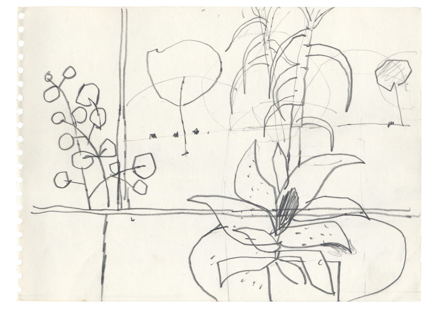 Lively Semi Abstract Plant Study By Henry Cliffe photo furniture