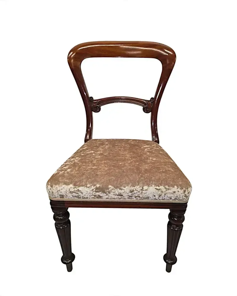 Zeer zeldzame, volledig gerestaureerde set van twaalf 19e-eeuwse eetkamerstoelen, toegeschreven aan Gillows photo Meubels