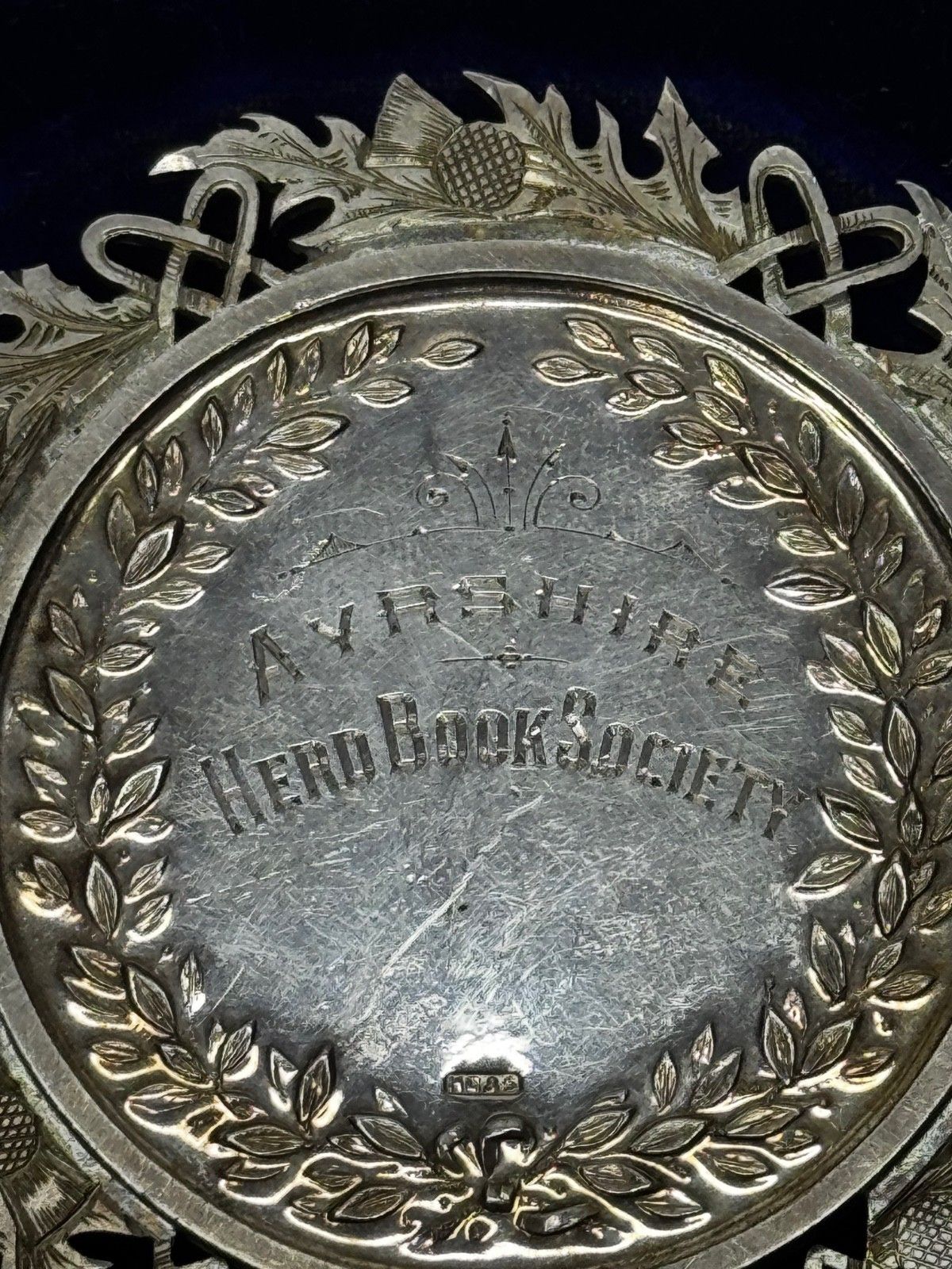 Victoriaanse Schotse zilveren landbouwprijsmedaille Ayrshire koe, kalf en stier photo buy