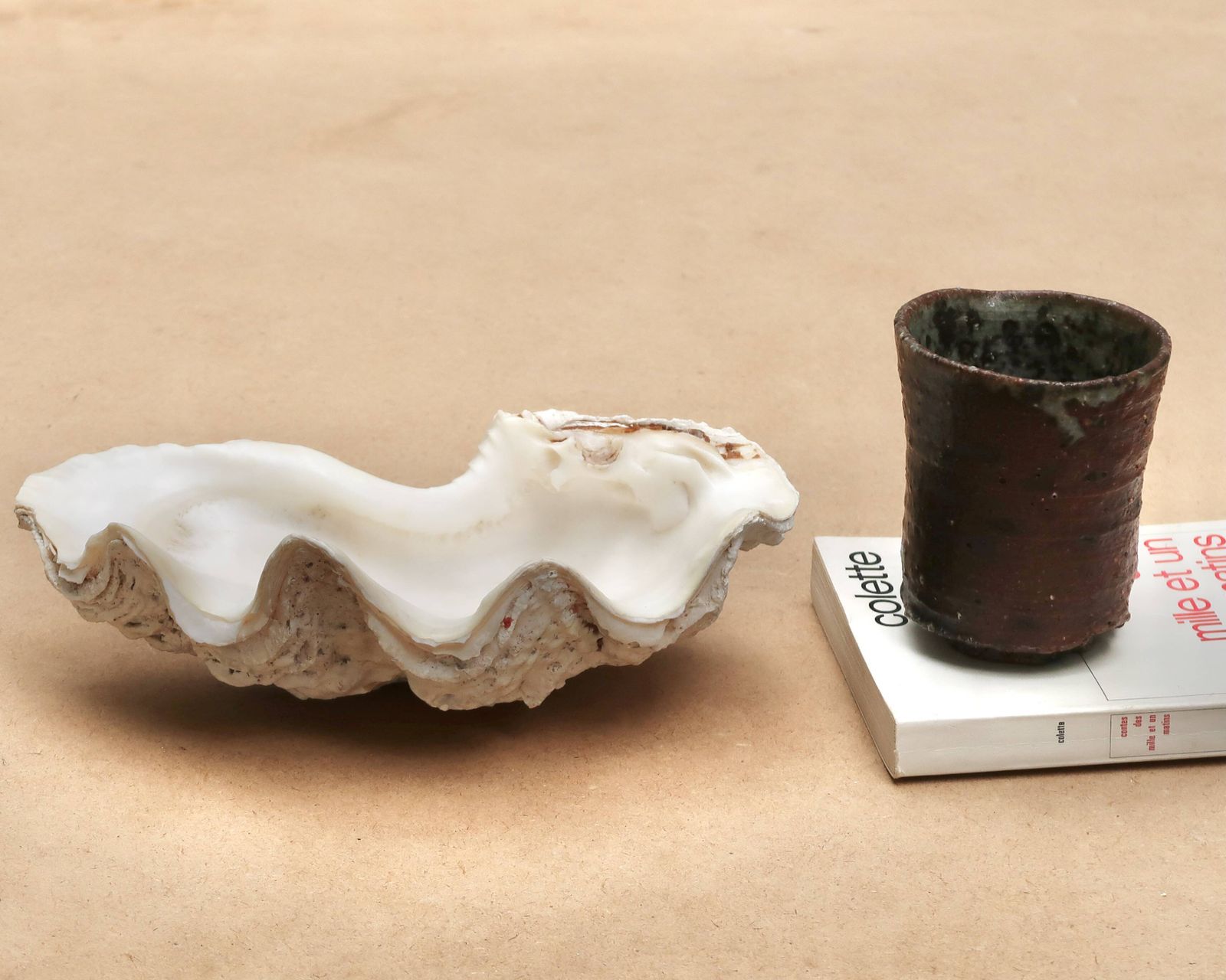Vide-poche en coquillage naturel blanc beige, années 1970. photo Décoration