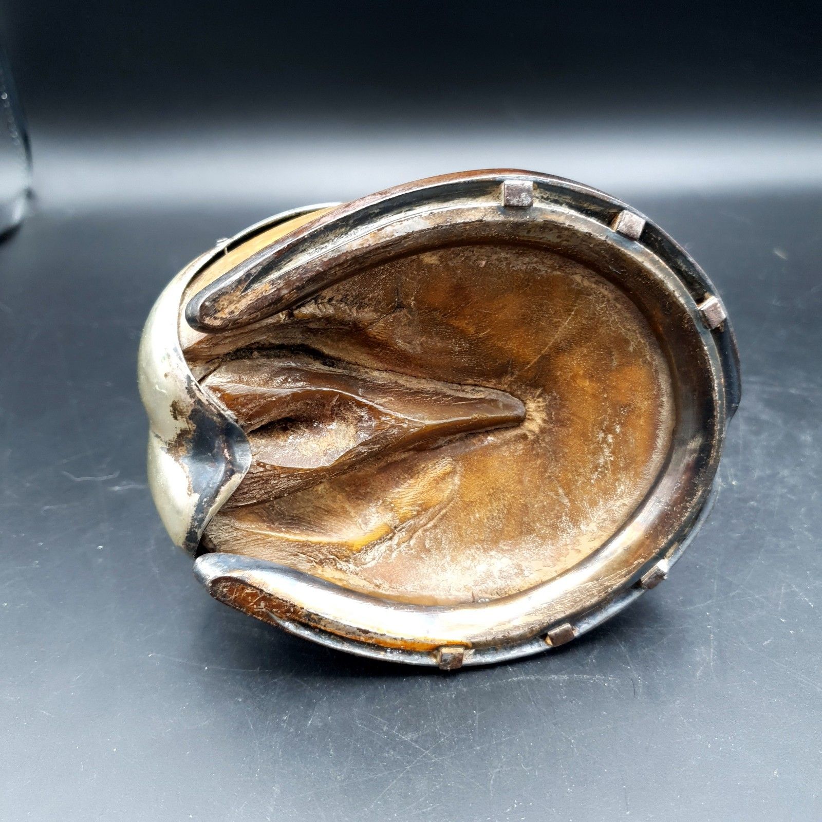 photo furniture Antique Horse Hoof Inkwell J&Co Silver Mounted Victorian Edwardian Equestrian