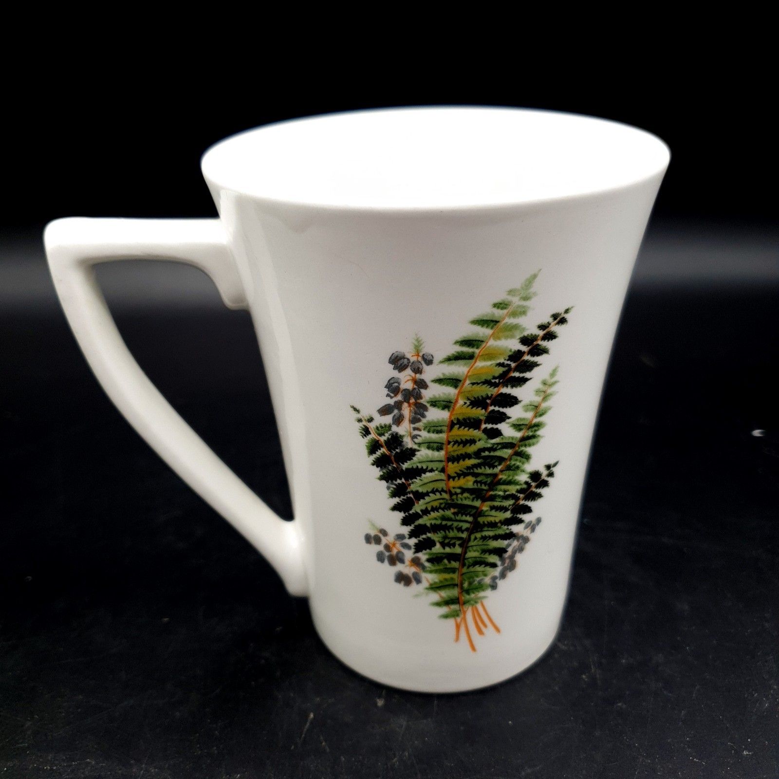 Portmeirion Compleat Angler Fern Salmon No.1 Salmo Salar Mug Scarce Fishing photo for sale