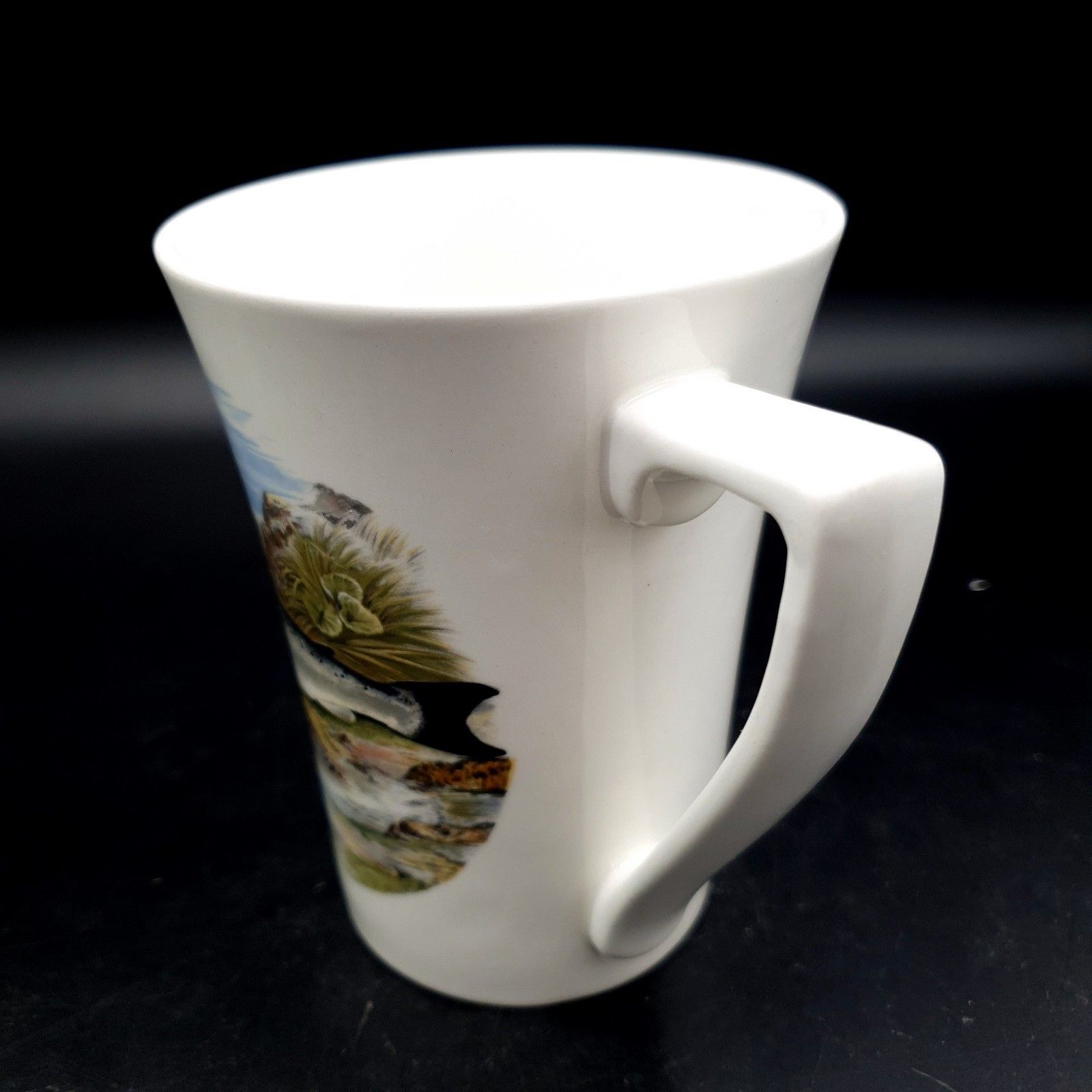 Portmeirion Compleat Angler Fern Salmon No.1 Salmo Salar Mug Scarce Fishing photo Woonaccessoires