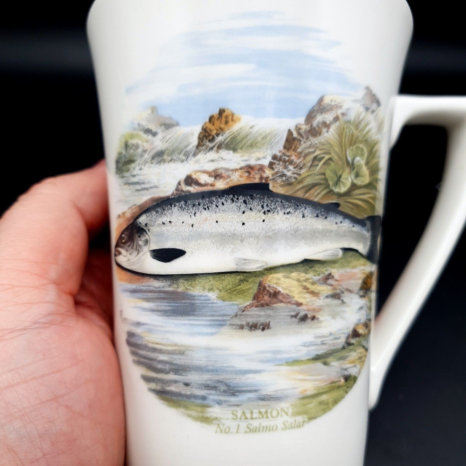 Portmeirion Compleat Angler Fern Salmon No.1 Salmo Salar Mug Scarce Fishing photo vinterior