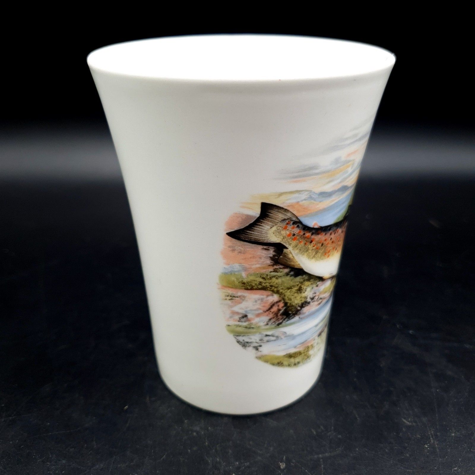 Portmeirion Compleat Angler Fern Trout Gillaroo No. 4 Mug 1981+ Scarce Fishing photo furniture