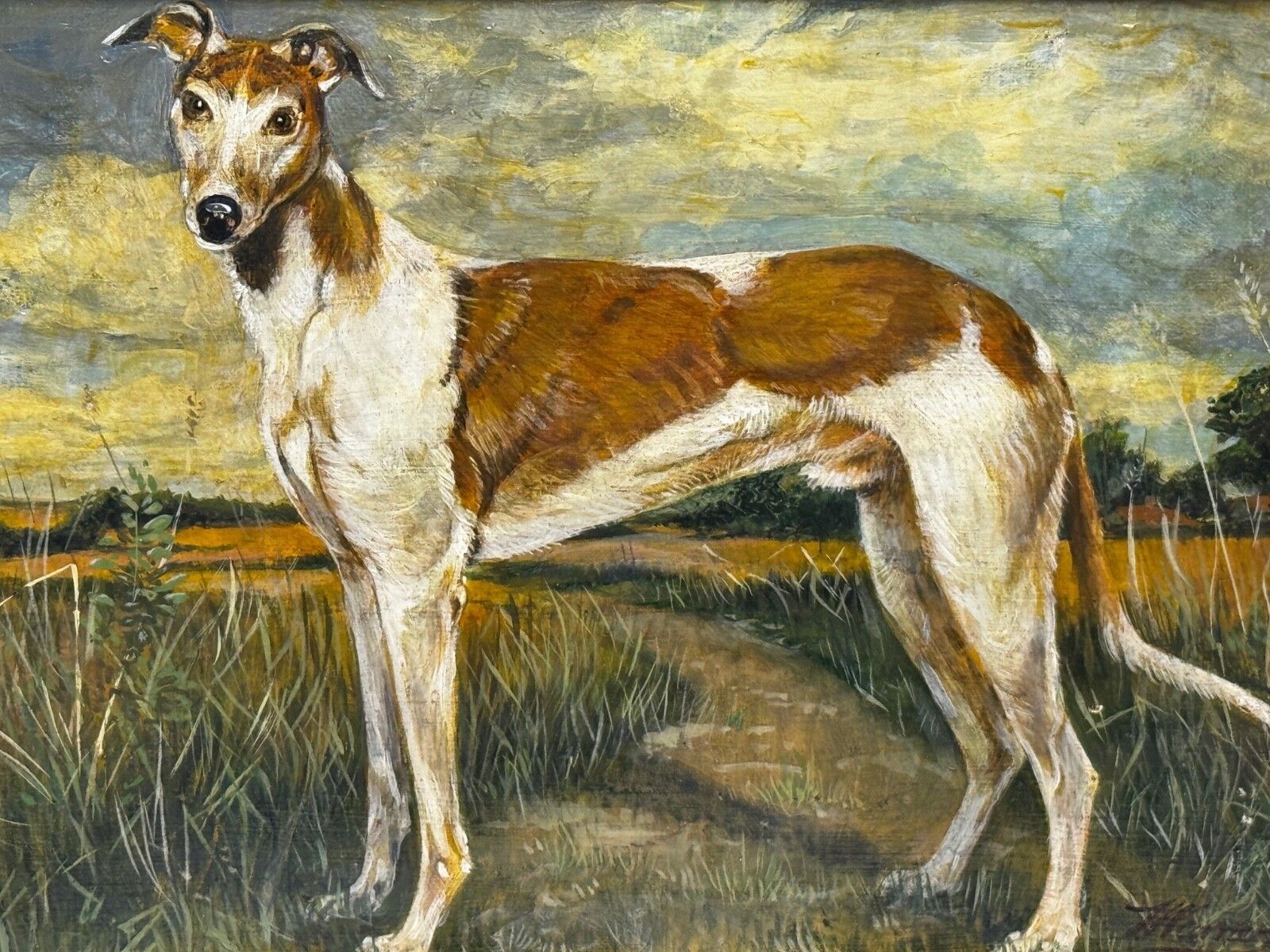 Antiek Brits olieverfschilderij van een lurcher/greyhound, gesigneerd J. Warnes, ca. 1910 photo furniture