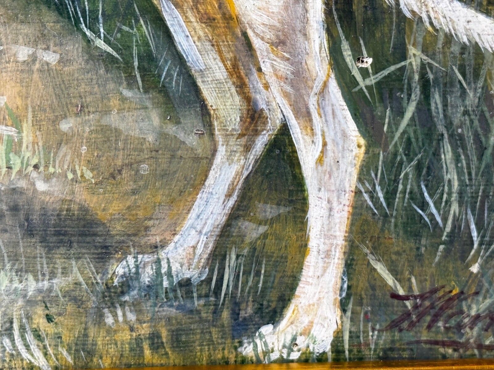 photo vinterior Antiek Brits olieverfschilderij van een lurcher/greyhound, gesigneerd J. Warnes, ca. 1910