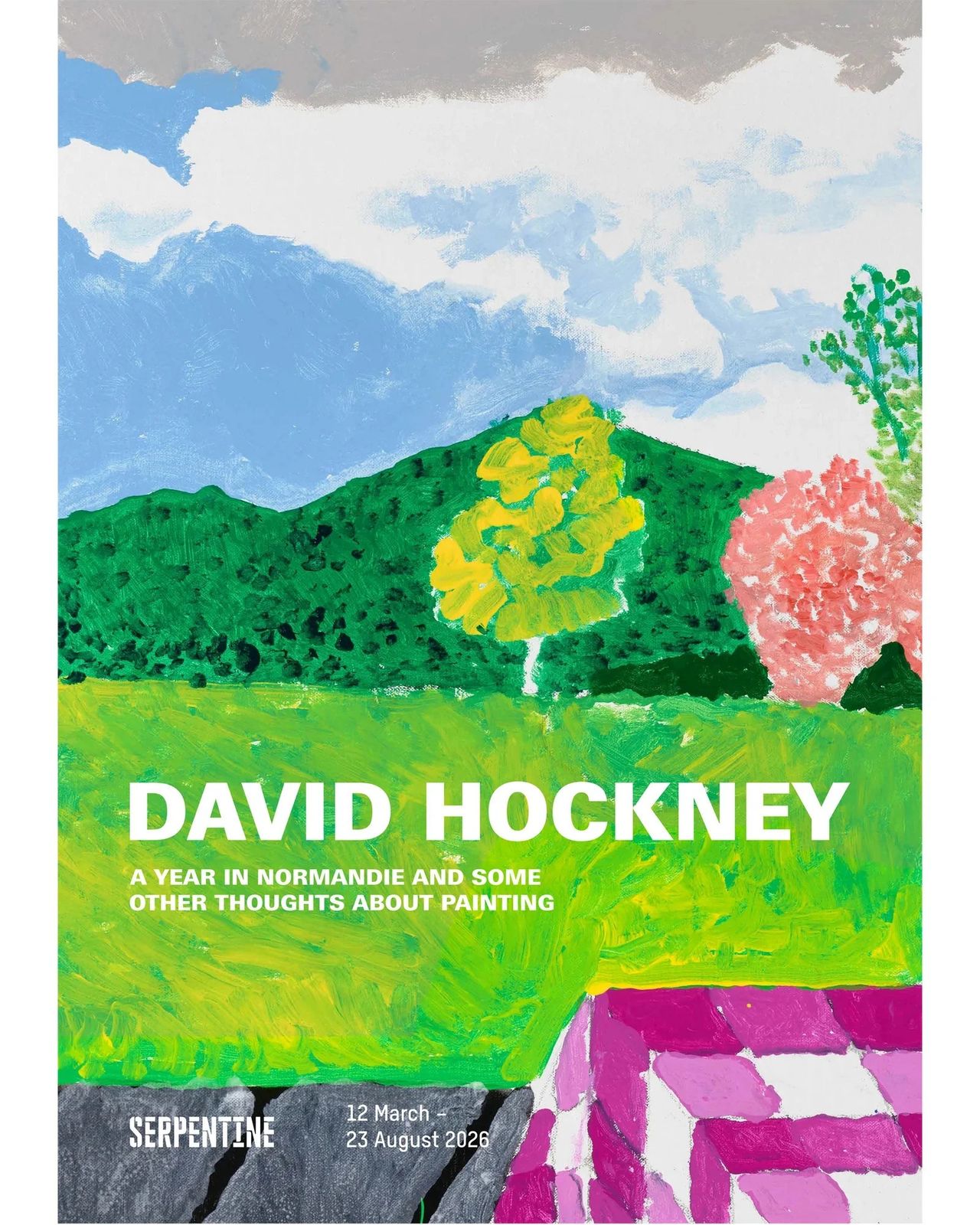 David Hockney Original Exhibition Poster   Thomas Mupfupi Resting On A Pink And White Checkered Tablecloth (Detail), 2026