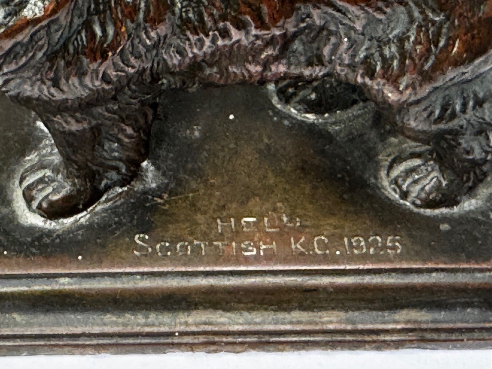 Antiek Schots Kennel Club Association Newfoundland hond bronzen sculptuur photo Kunst