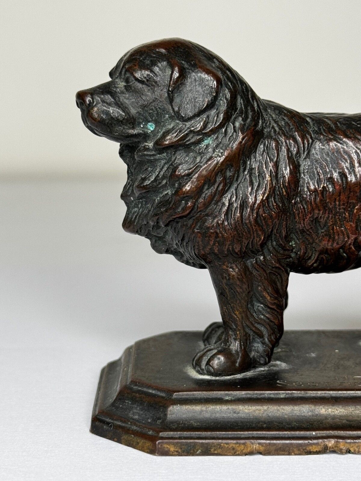 Antiek Schots Kennel Club Association Newfoundland hond bronzen sculptuur photo 2000.0