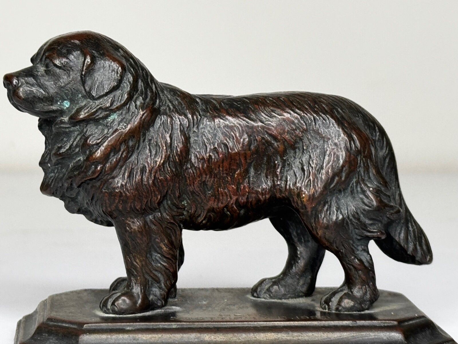 Antiek Schots Kennel Club Association Newfoundland hond bronzen sculptuur photo vintage