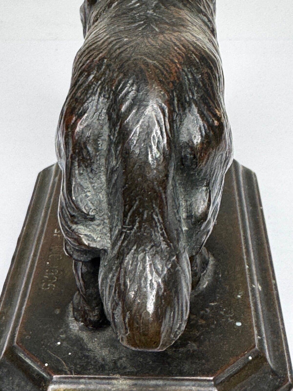 photo vinterior Antiek Schots Kennel Club Association Newfoundland hond bronzen sculptuur