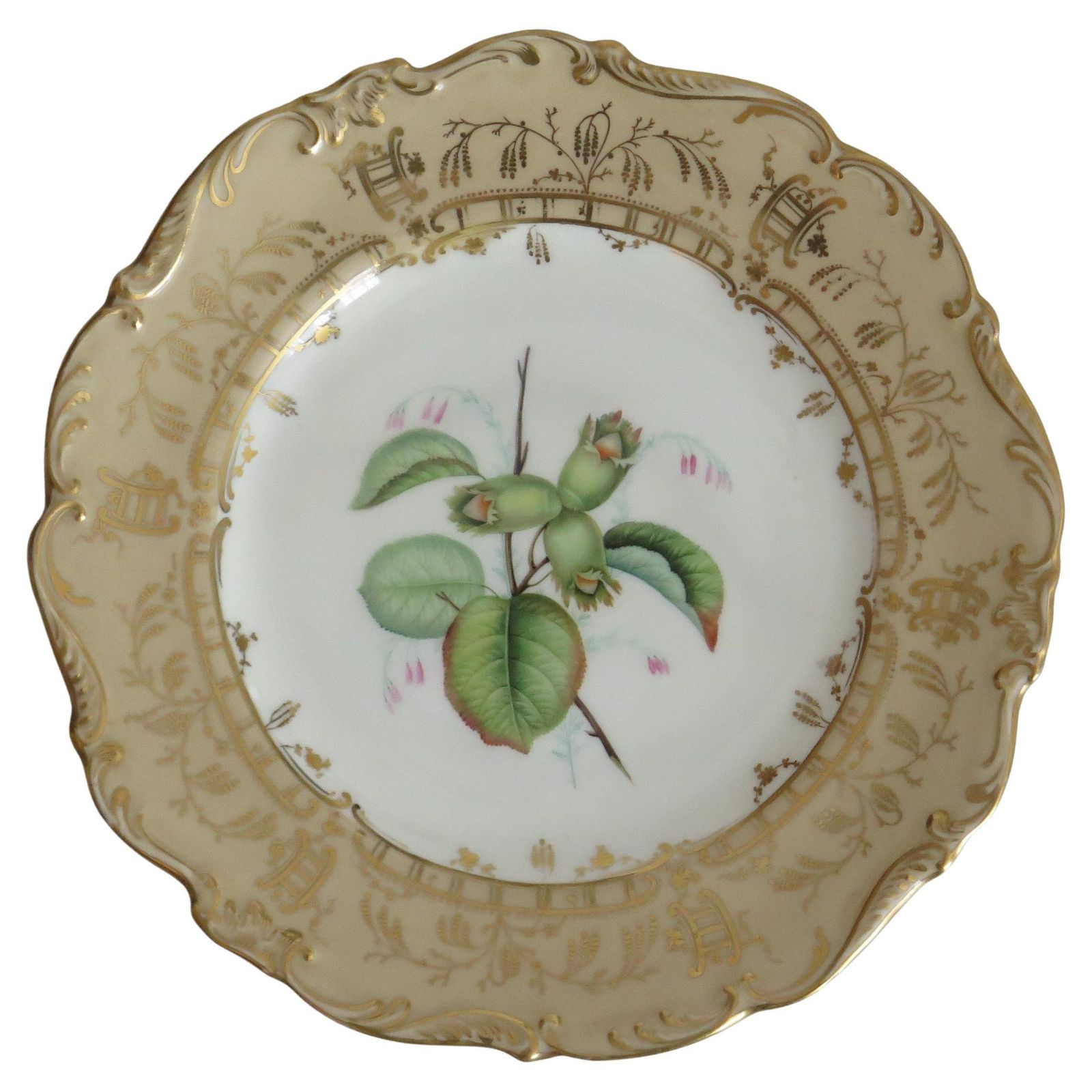 Antiek botanisch bord H&R Daniel, handgeschilderd porselein, ca. 1830.