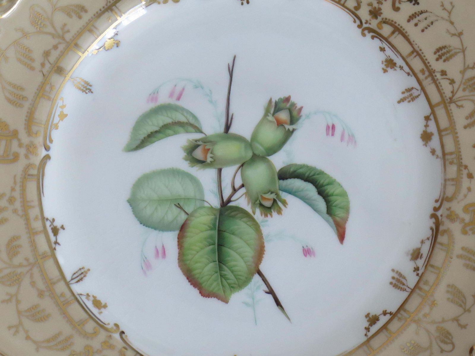 Antique H&R Daniel Botanical Plate, Hand Painted Porcelain, Circa 1830. photo 281.0