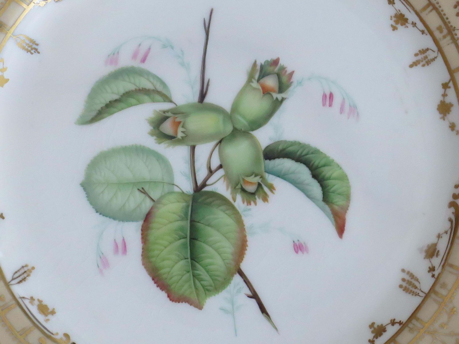 Antiek botanisch bord H&R Daniel, handgeschilderd porselein, ca. 1830. photo vinterior