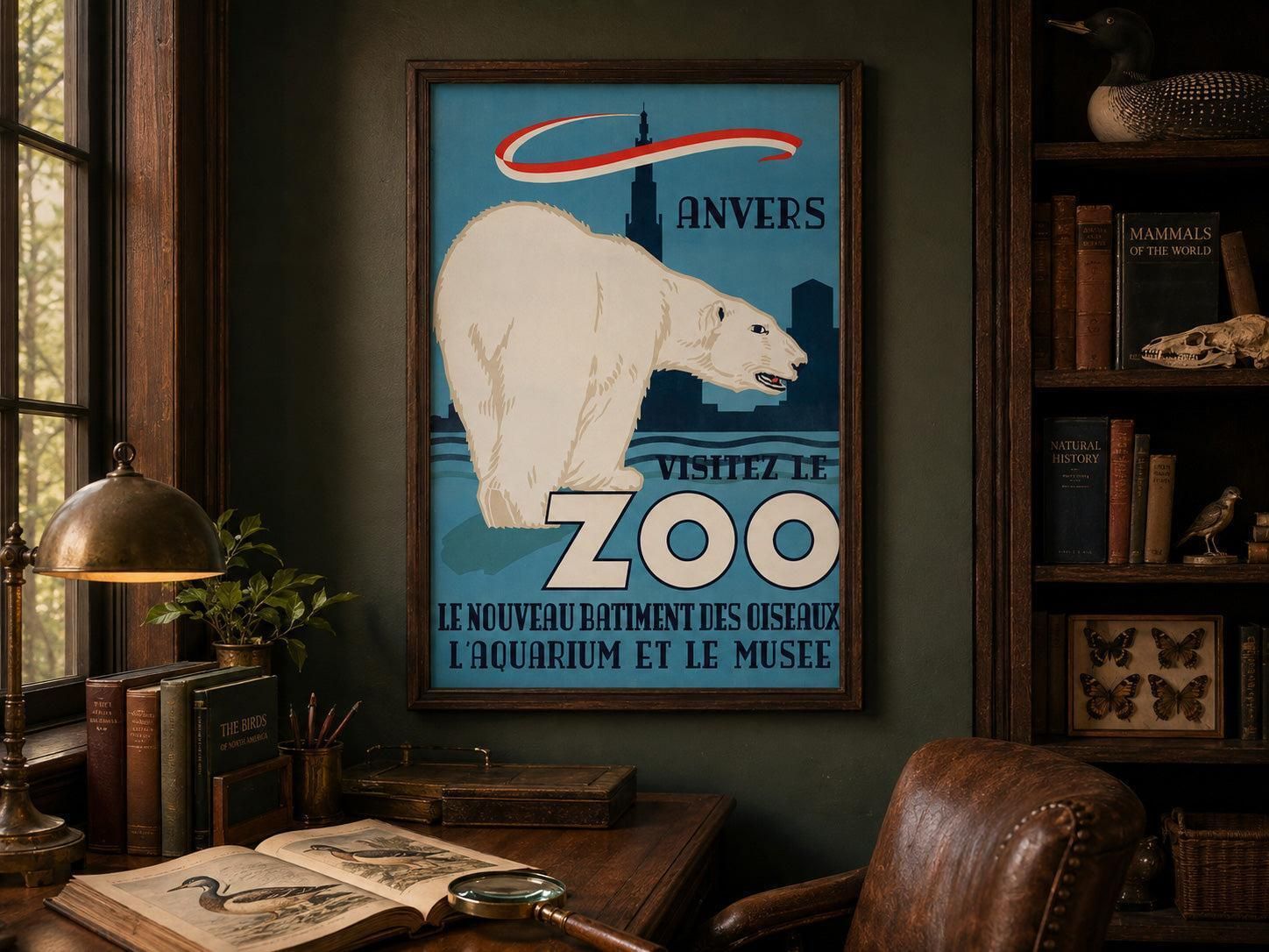 Antwerp Zoo Ijsbeer 1950 Grote Reclameposter. photo furniture