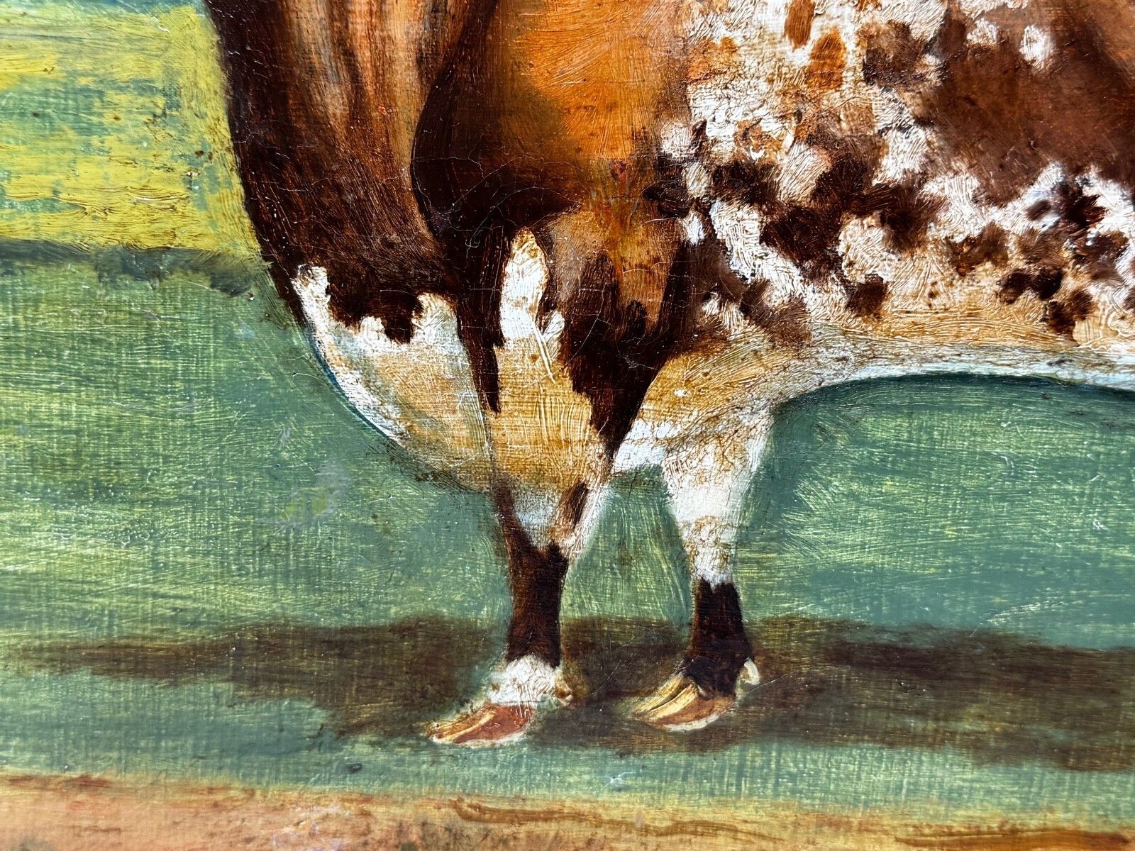 4950.0 Victorian Prized Shorthorn Bull Oil Painting British School Manner William Ward photo