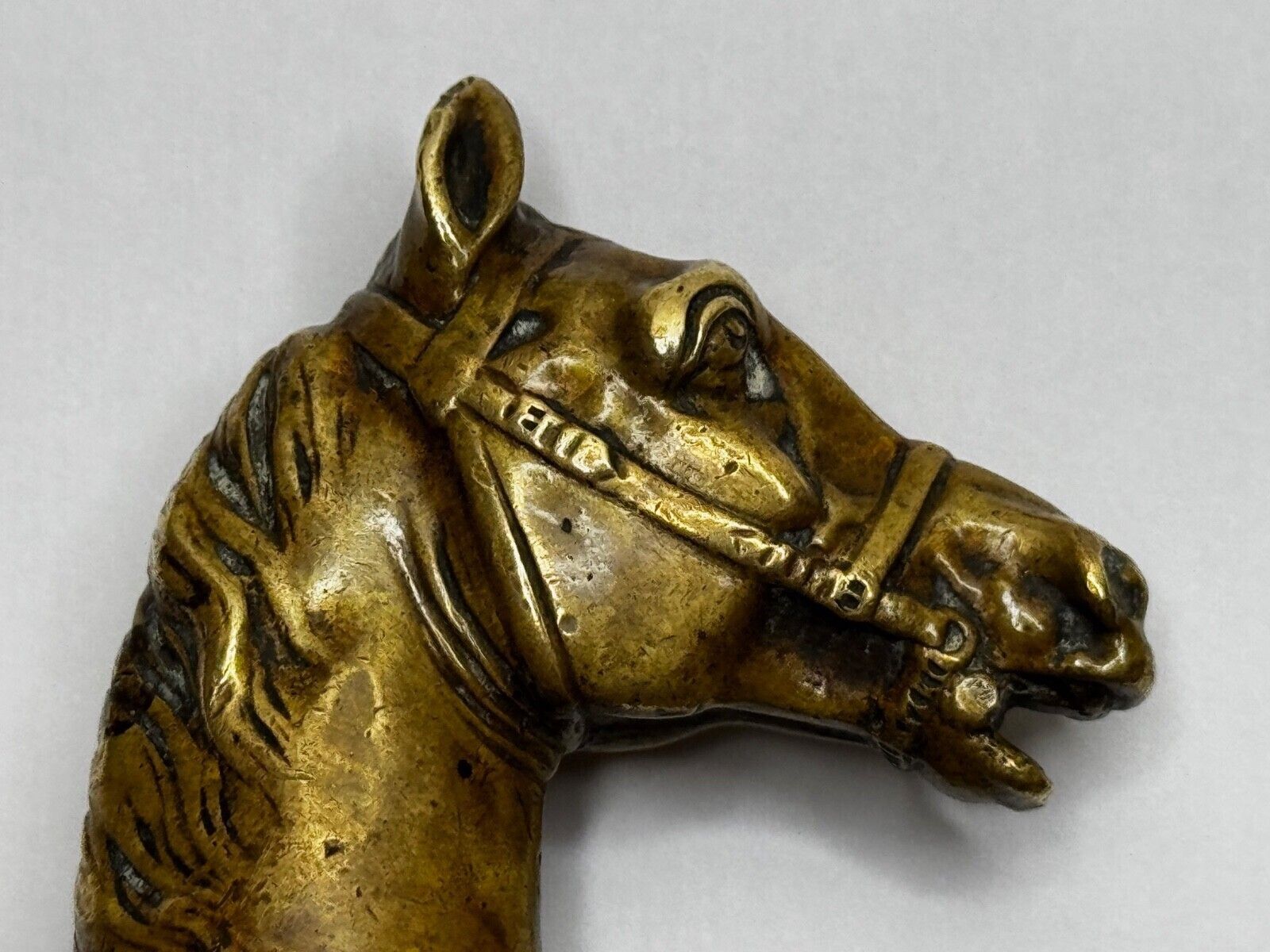 photo for sale Georgian Horse Head Armorial Desk Seal C.1770–1800 Scottish Interest