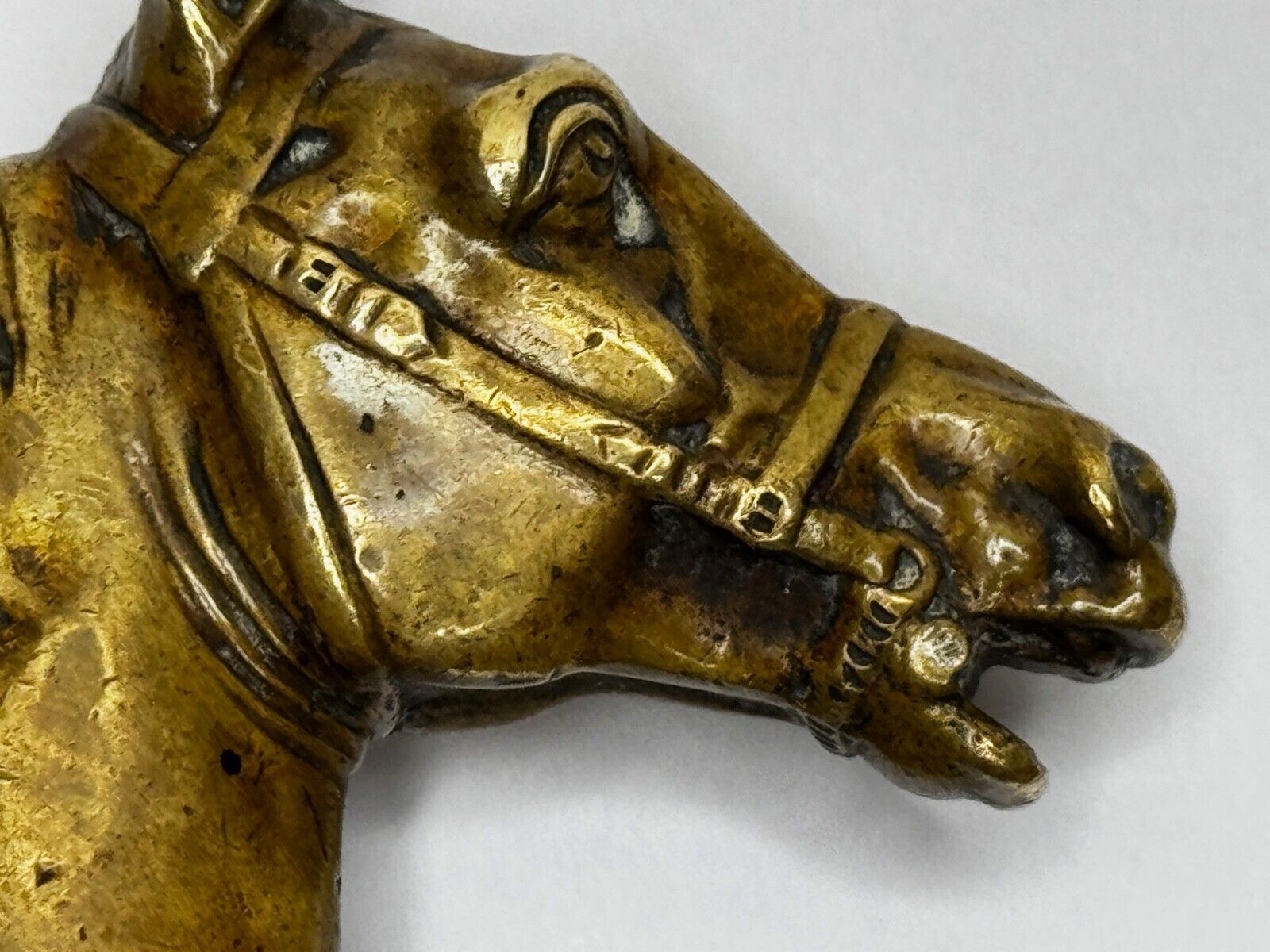 Art Georgian Horse Head Armorial Desk Seal C.1770–1800 Scottish Interest photo