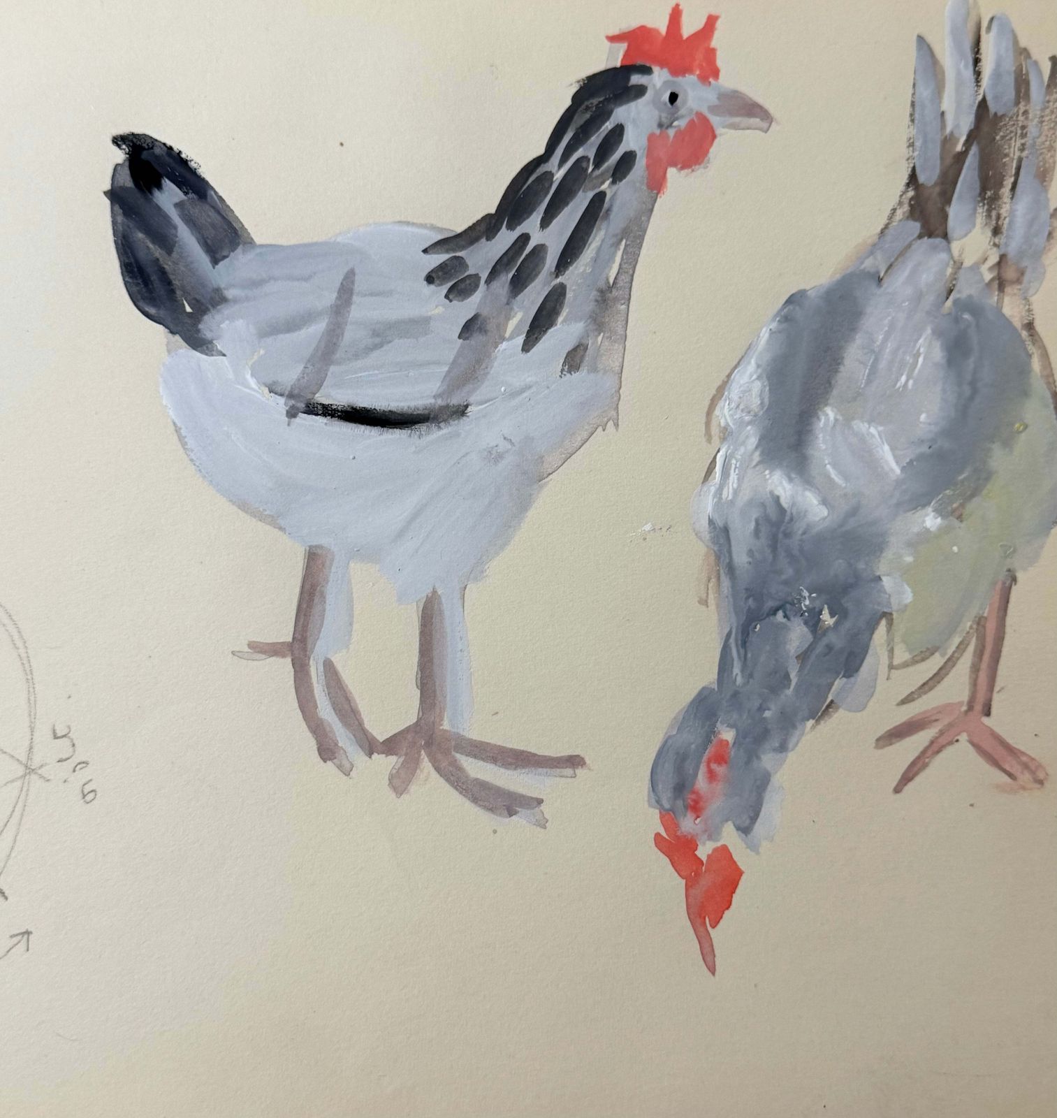 Light Sussex Chickens French Modernist Animal Study Gouache Painting photo for sale