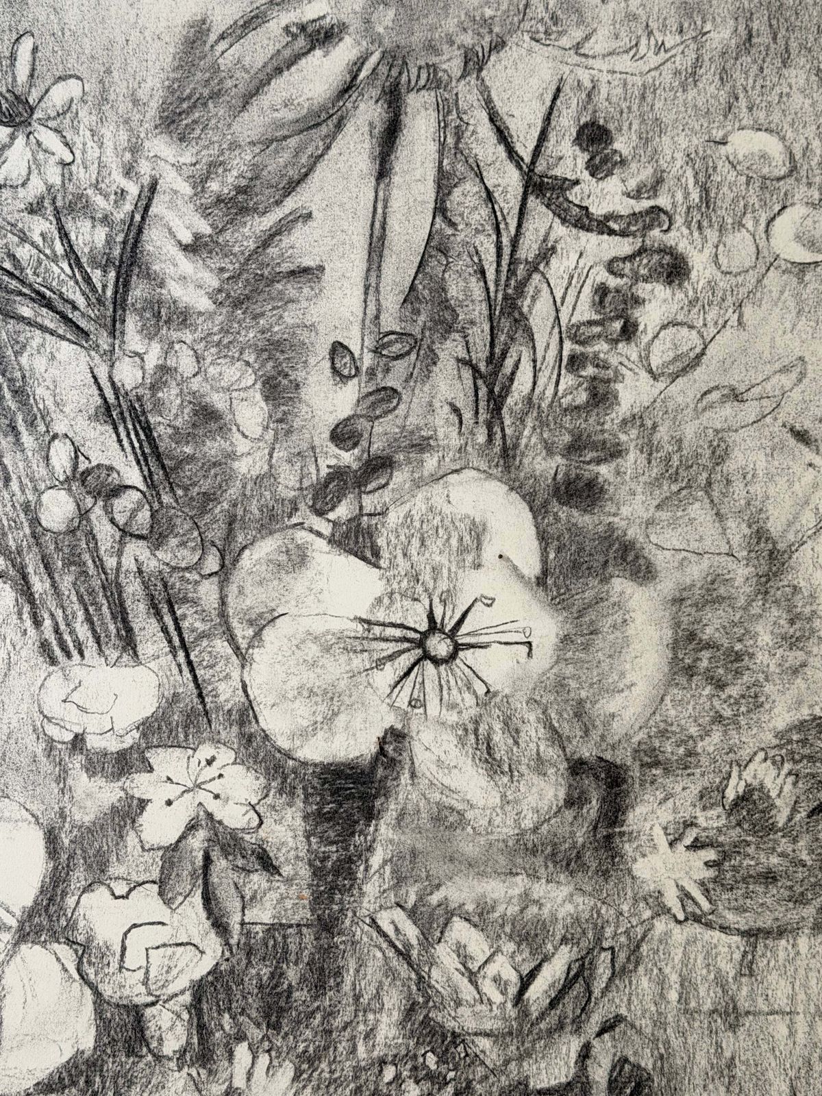 Nature morte en noir et blanc avec fleurs, dessin moderniste français au fusain et au crayon photo for sale