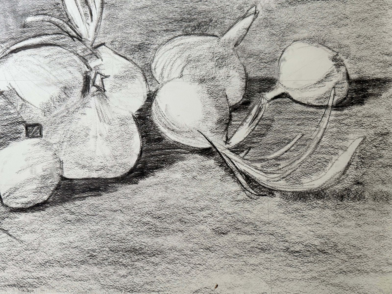 Nature morte aux oignons, dessin moderniste français au fusain et crayon, années 1950 photo vinterior