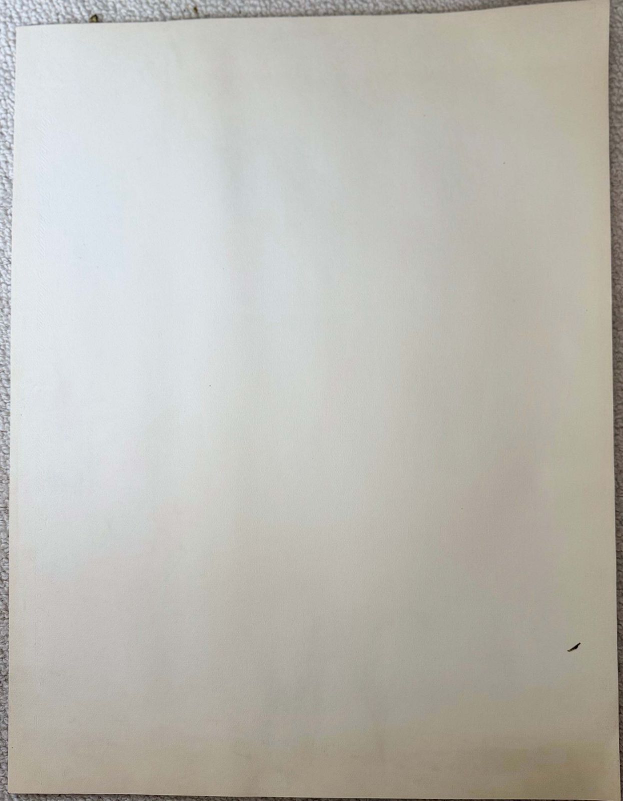 Étude de portrait féminin moderniste française, fusain et crayon, XXe siècle photo for sale