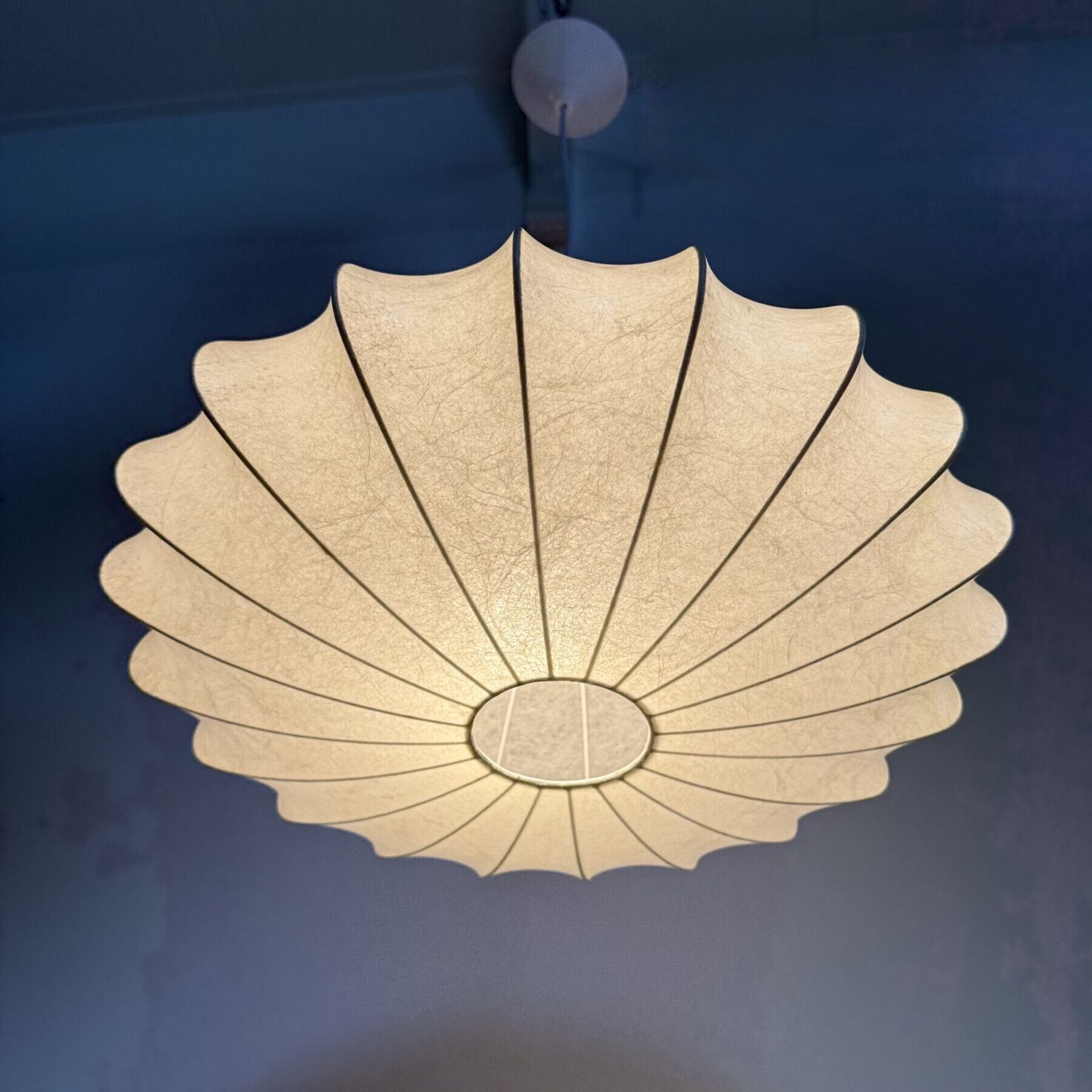 Suspension Cocoon mid-century modern par Friedel Wauer pour Goldkant Leuchten, années 1960 photo Luminaires