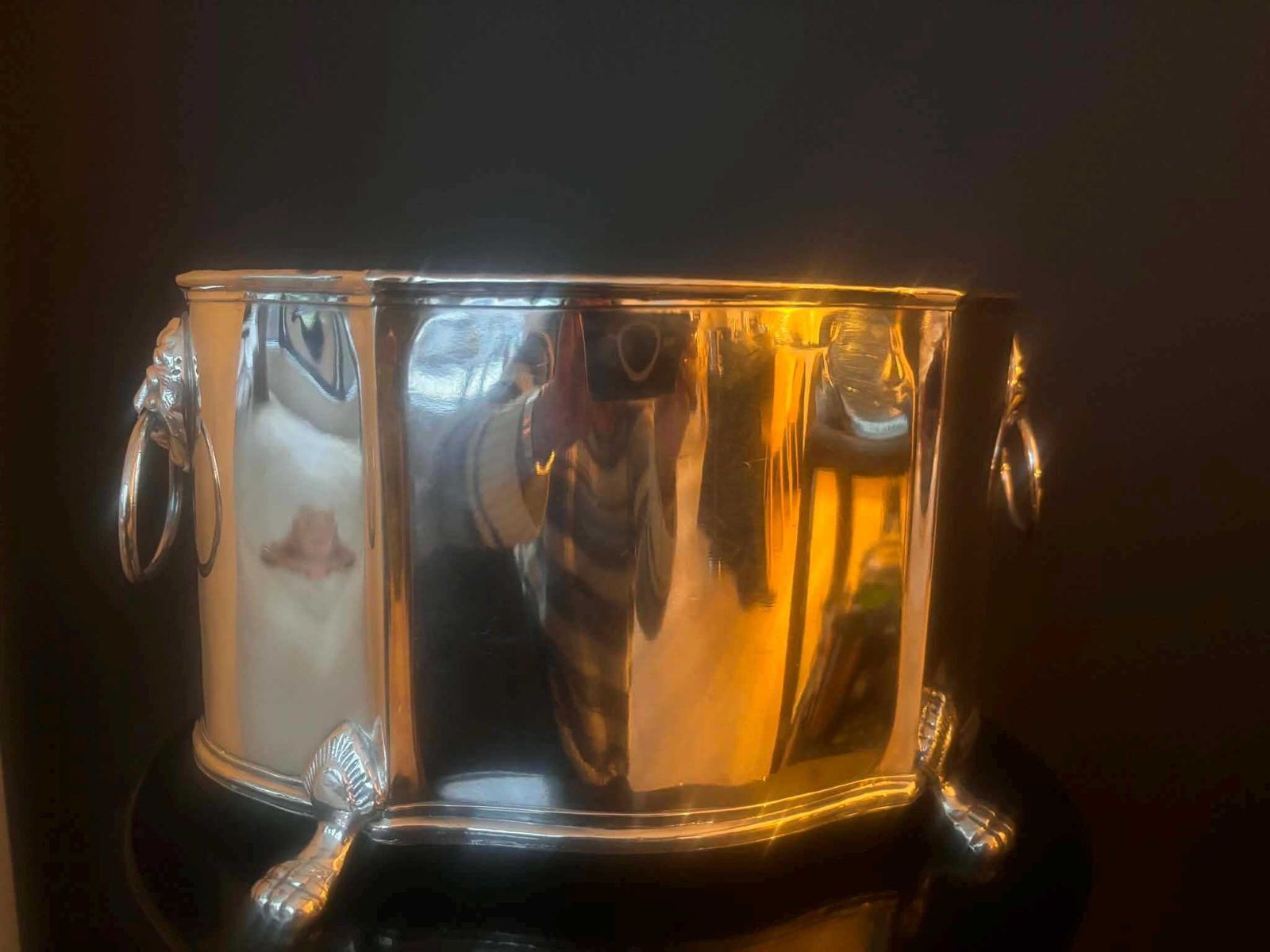photo buy Grande jardinière en métal argenté de style néoclassique, anses à masques de lion, pieds en patte, pièce de milieu de style français