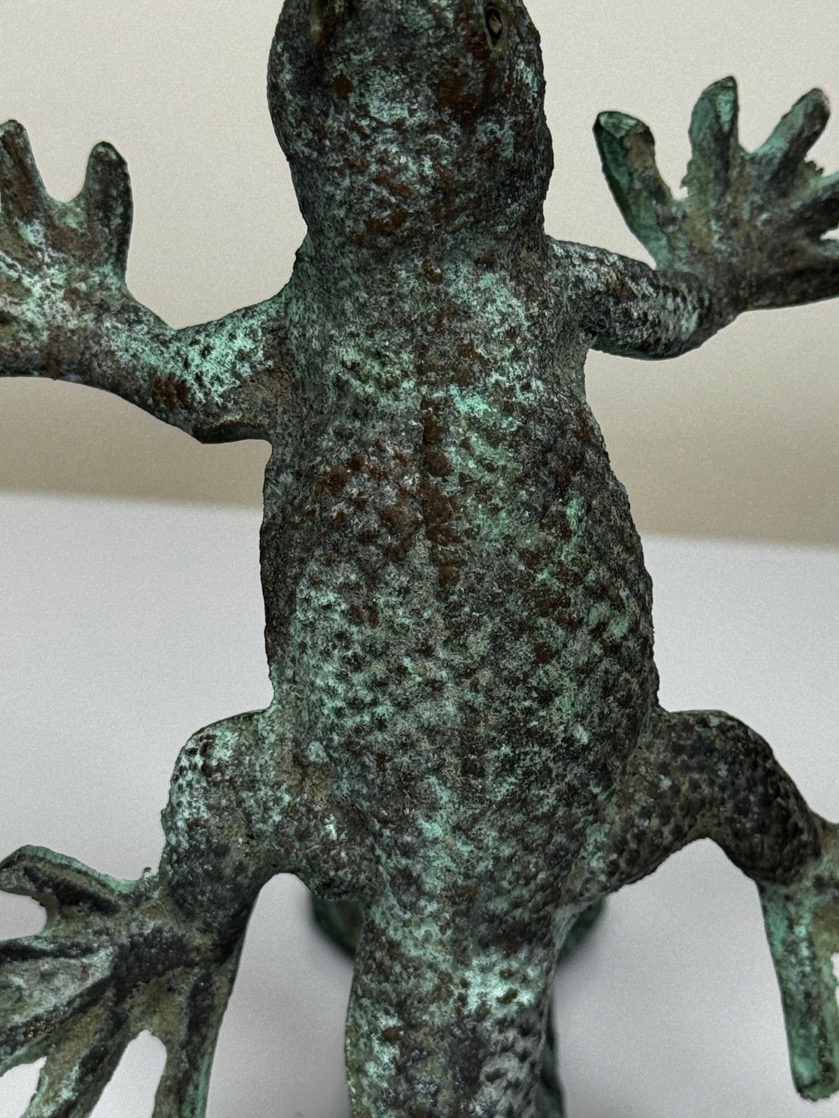 photo vinterior Bronzen deurklopper in de vorm van een gekko, zuidwesten van de VS, in de stijl van Oscar Bach